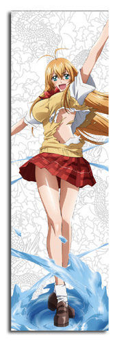 Ikki Tousen Xtreme Xecutor - Sonsaku Body Pillow, an officially licensed product in our Ikki Tousen Xx Pillows department.