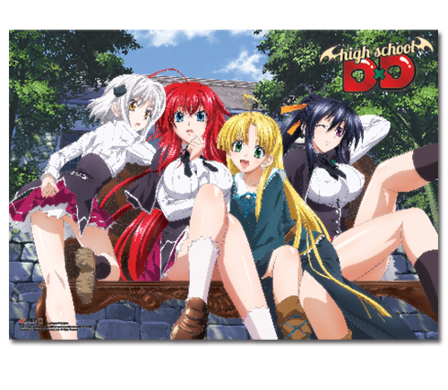 High School Dxd - Group Wallscroll, an officially licensed product in our High School Dxd Wall Scroll Posters department.