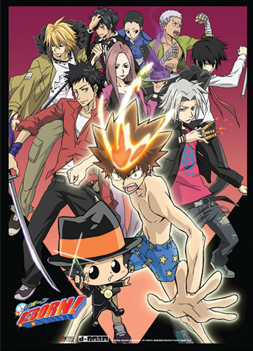 Reborn! - Group D Wallscroll, an officially licensed product in our Reborn! Wall Scroll Posters department.