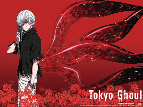 Tokyo Ghoul - Kaneki 03 Wall Scroll, an officially licensed product in our Tokyo Ghoul Wall Scroll Posters department.
