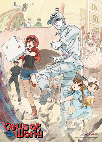 Cells At Work! - Key Art Wall Scroll, an officially licensed product in our Cells At Work! Wall Scroll Posters department.